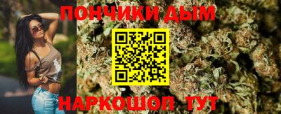 стафф Заводоуковск