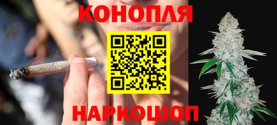 стафф Заводоуковск