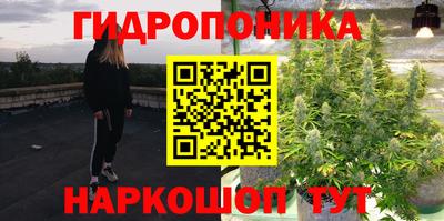 a pvp Жуковский