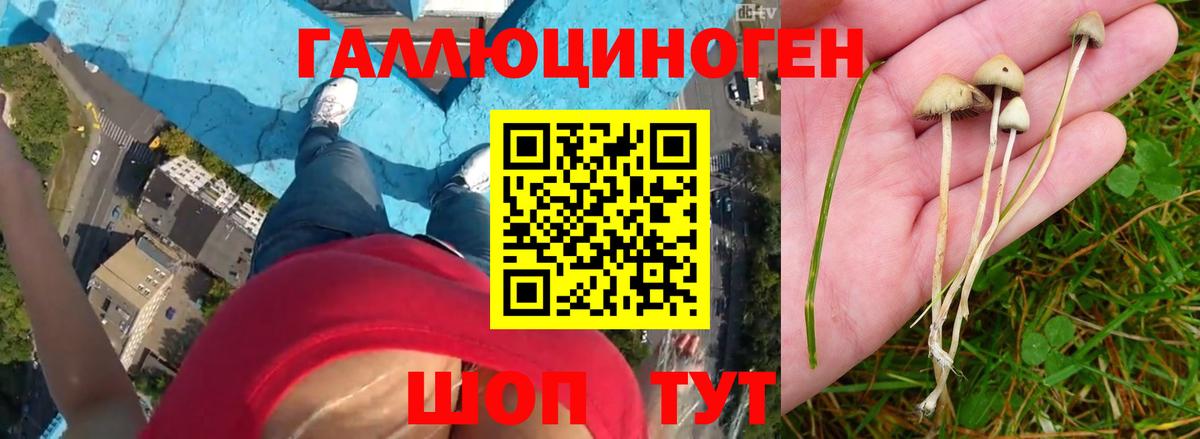 Галлюциногенные грибы мухоморы Пыть-Ях