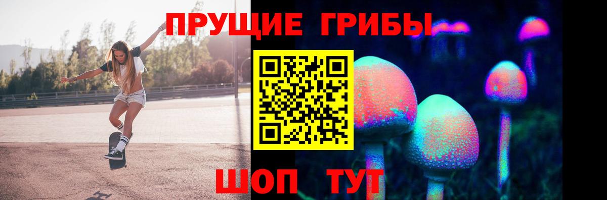 Пыть-Ях  Галлюциногенные грибы Psilocybine cubensis  Вход с VPN 