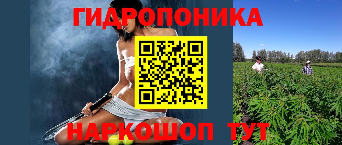Шишки марихуана Bruce Banner  Бошки марихуана Bruce Banner  Вход с VPN  Конопля SATIVA & INDICA  Пыть-Ях 